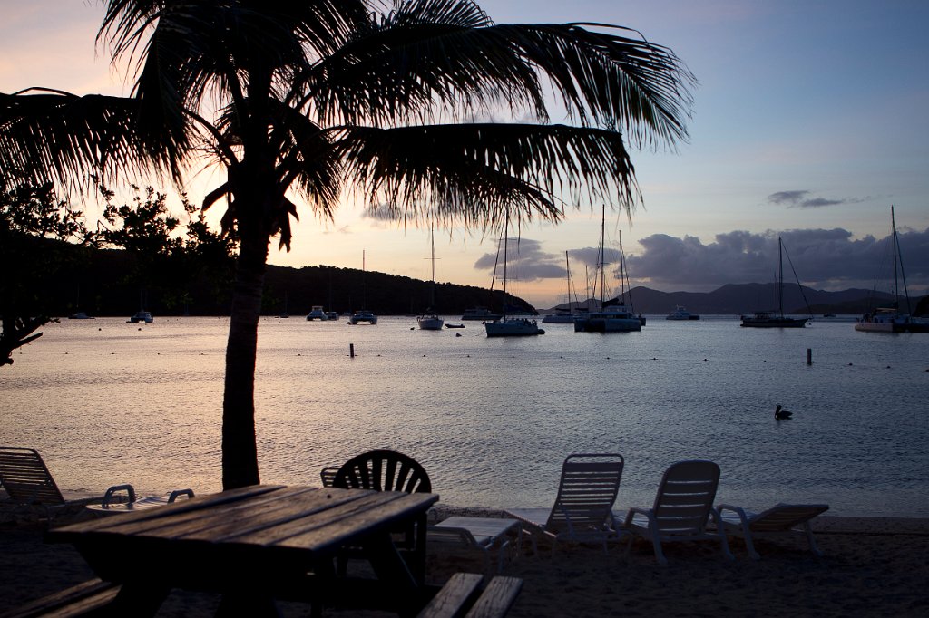 BVI 2010 for Rob Z -6066.jpg